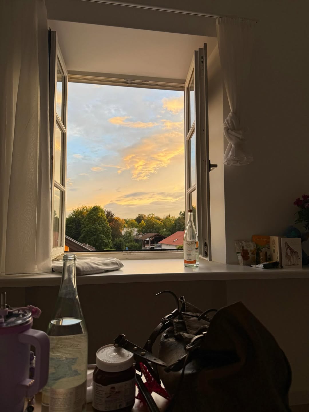 SnapInsta.to_549615765_18571018495004078_8856608587717792527_n.jpg