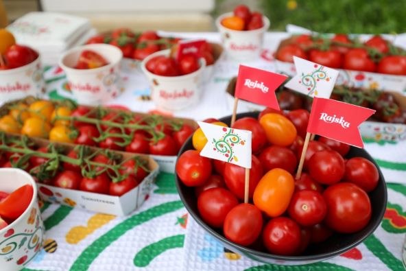 Partneri Sensa wellbeing dana