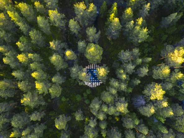 Biosphere Treehotel smješten u krošnjama