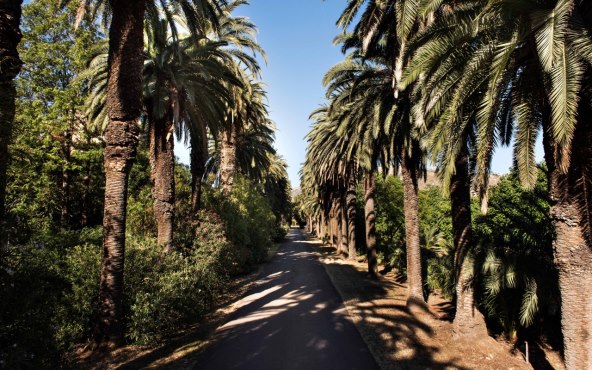 Unajmite raskošnu vilu iz serije The White Lotus