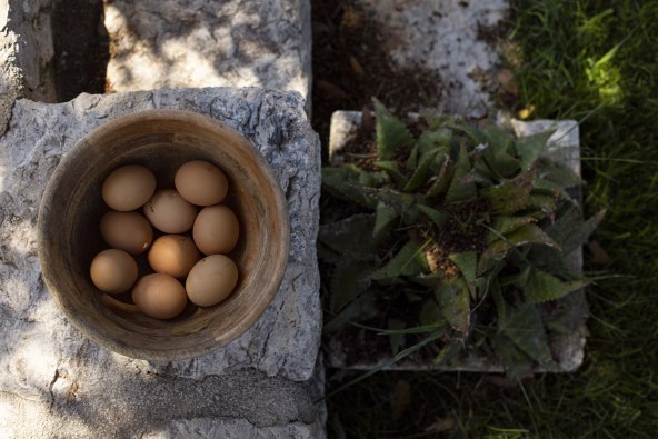 Vodimo vas u impresivni kompleks i oazu luksuza Lopud 1483