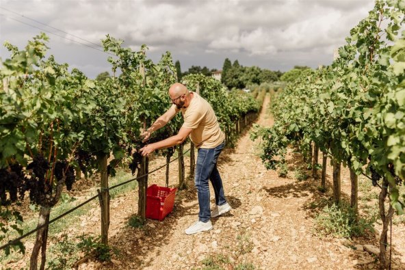 Vinarija Meneghetti savršeno mjesto za luksuzni jesenski izlet