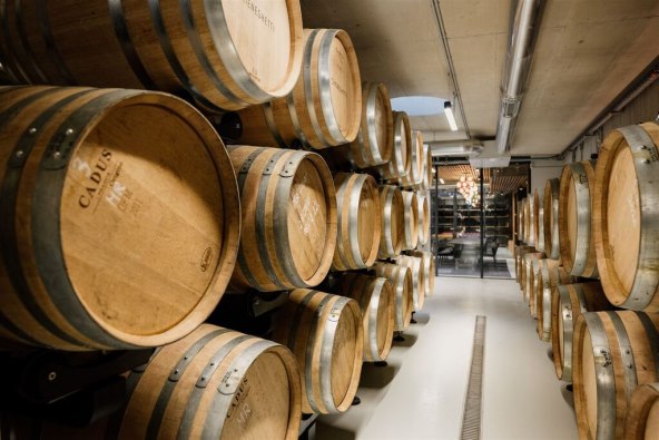 Vinarija Meneghetti savršeno mjesto za luksuzni jesenski izlet