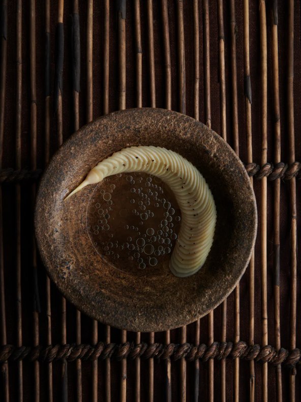 Chef Rene Redzepi nova knjiga Noma in Kyoto