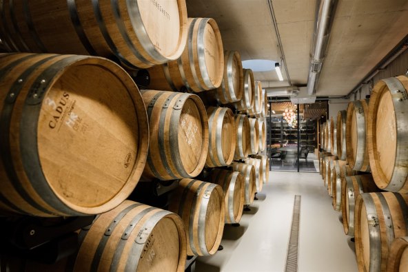 Meneghetti Wine Hotel & Winery mjesto savršeno za luksuzan odmor