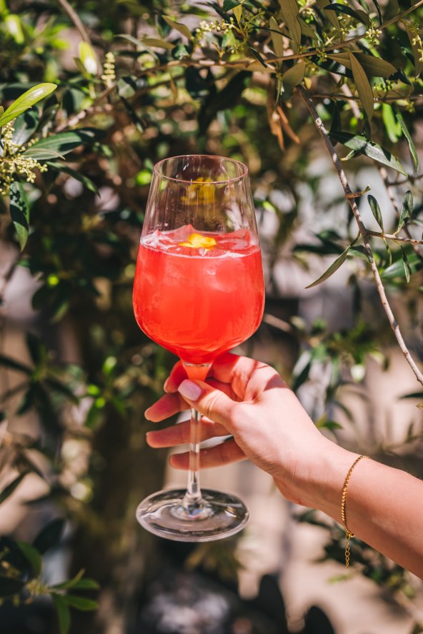 Dani slastica i koktela s domaćim jagodama u Esplanadi