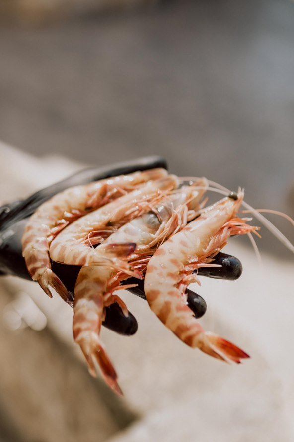 Jesen u Pelegriniju je u znaku najcjenjenijih gastronomskih namirnica