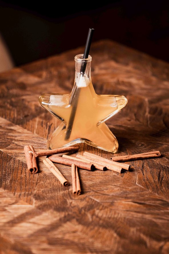 Bajkovito blagdansko uređenje gradske zimske oaze Botanist 