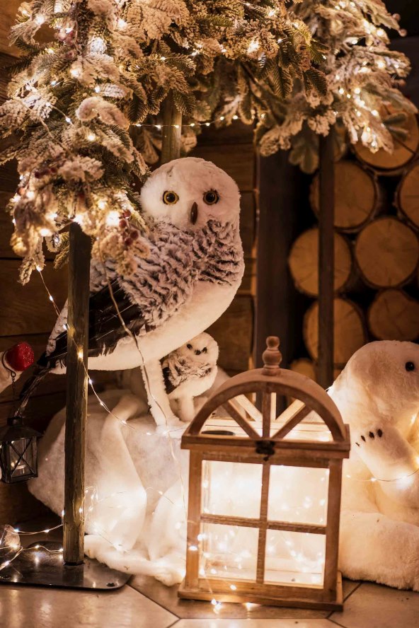 Bajkovito blagdansko uređenje gradske zimske oaze Botanist 