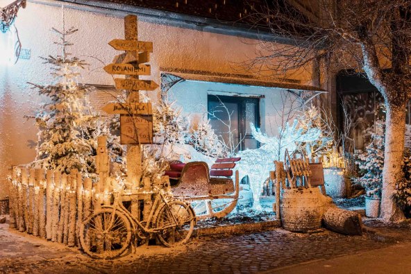 Bajkovito blagdansko uređenje gradske zimske oaze Botanist 