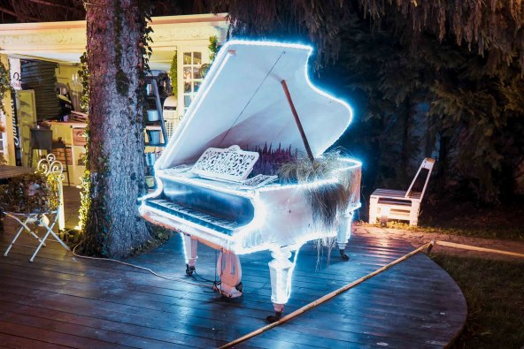 Bajkovito blagdansko uređenje gradske zimske oaze Botanist 