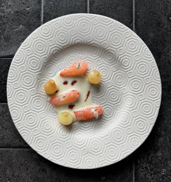 Hrvatska ima dva nova restorana s Michelinovom zvjezdicom