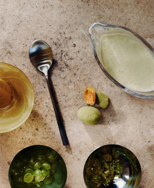 Pripremite Ajoblanco ili bijeli gazpacho