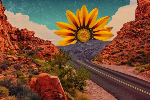 Horoskop astro zodijak