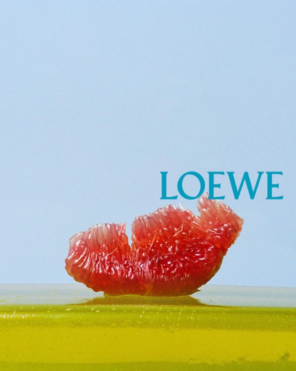 Loewe nova kampanja SS26