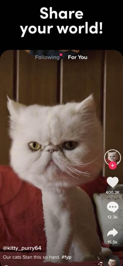 ZBOG TVRDNJI O OPASNOM SADRŽAJU: Italija istražuje TikTok