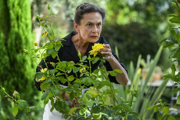 Divlje pcele - Jasna Bilusic.jpg