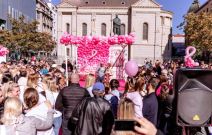 Story Pink Fest Izvođači 2024.jpg