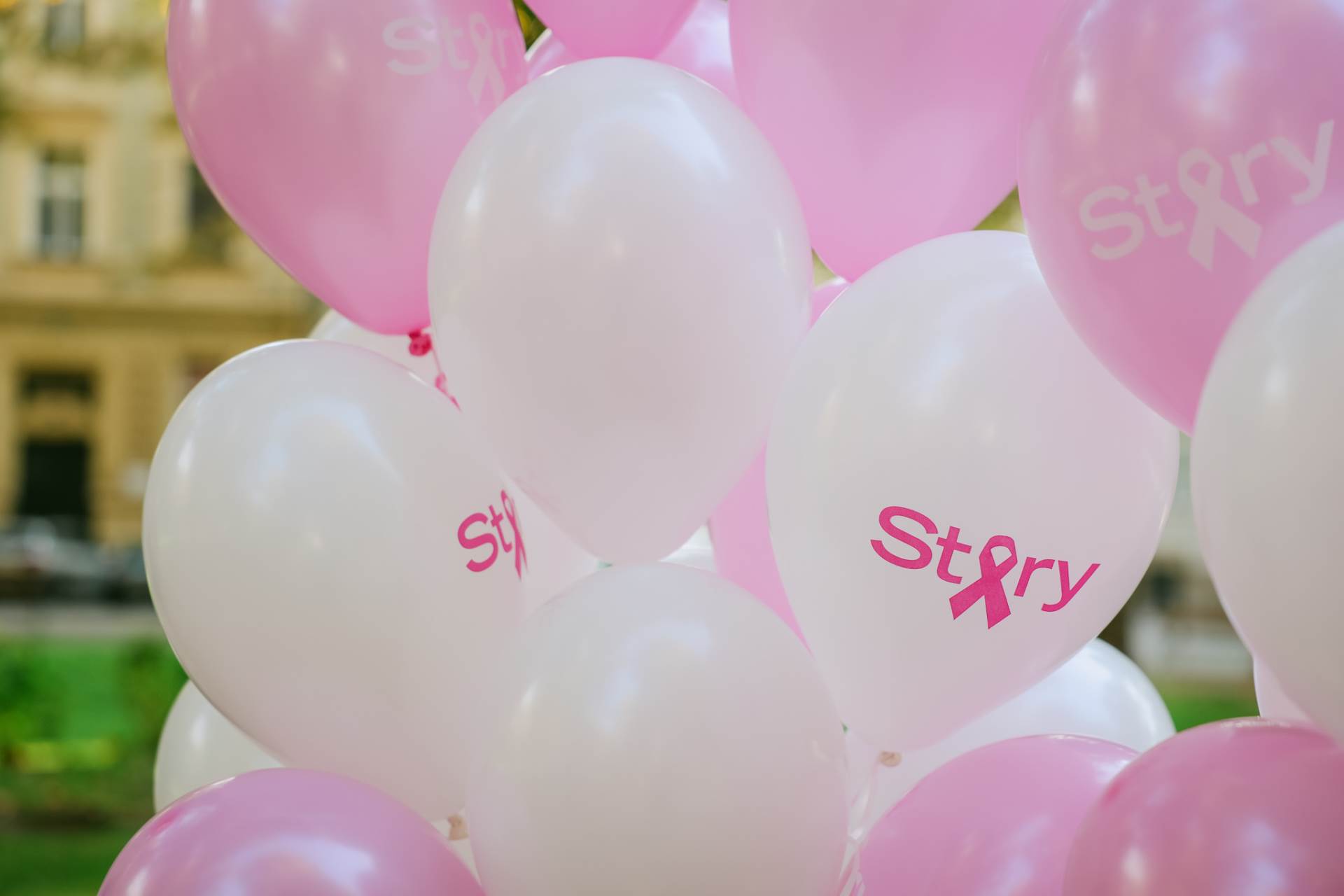 Story Pink Fest