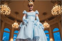 Pepeljuga u čizmama.jpg