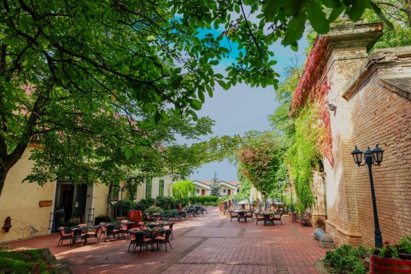 FOTO 1_Ilocki podrumi (1).jpg