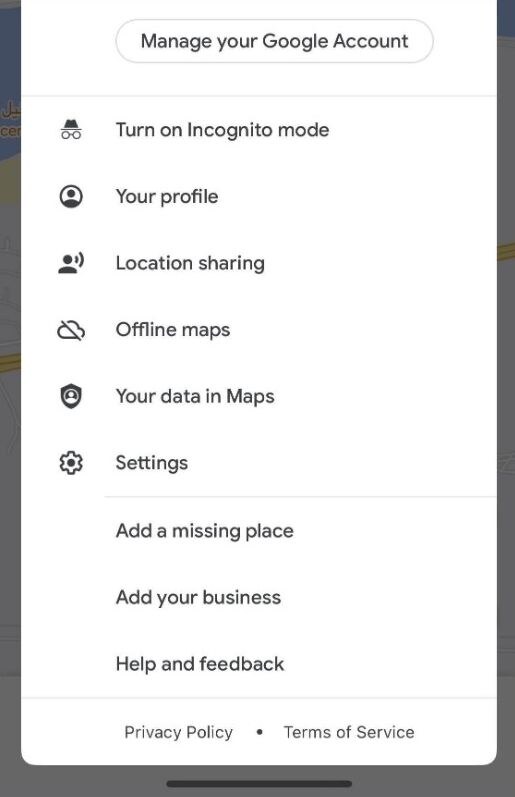 Google Offline Maps 1.jpg