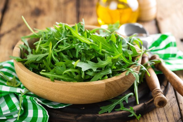 Rukola salata