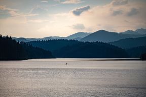 DSC_2685.jpg