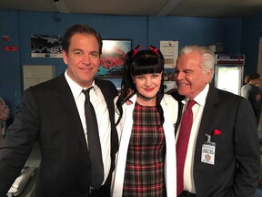 Pauley Perrette