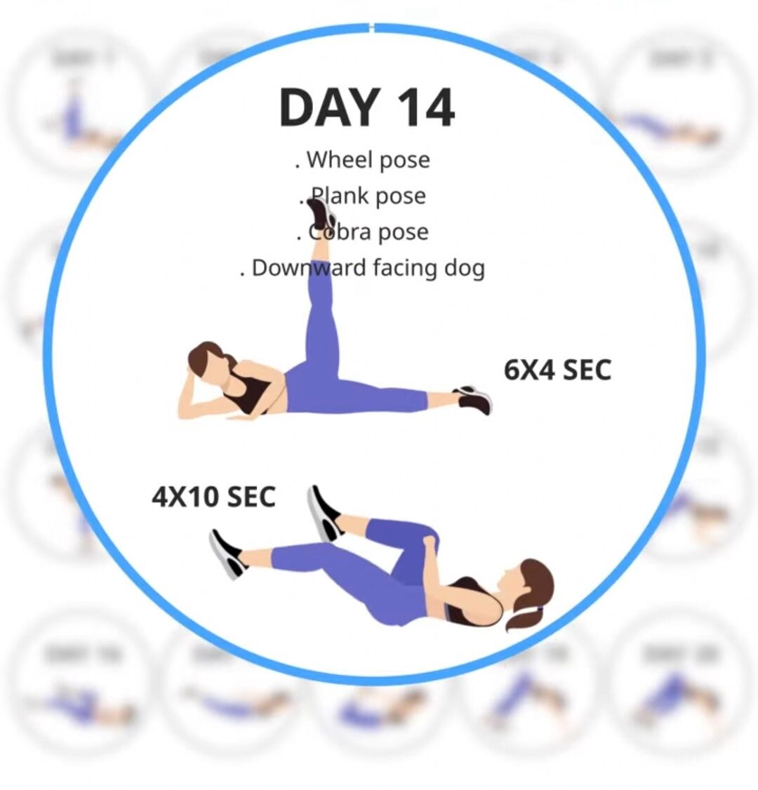 Daily Yoga Fitness+Meditation (9).jpg