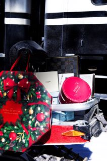 TIBI_CLENCI_NEPI_WINTER_2025_PRODUCTS_AO1A2353 copy.jpg