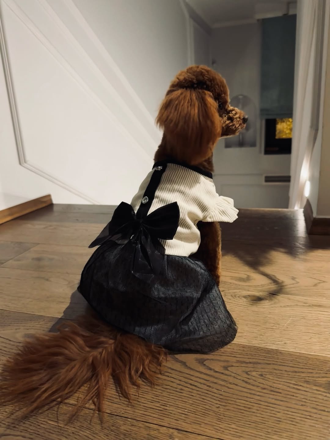 Posljednji Božić u ovom predivnom stanu čiji zidovi pamte Uskrse, Božiće, rođendane, veselja, sm (4).jpg