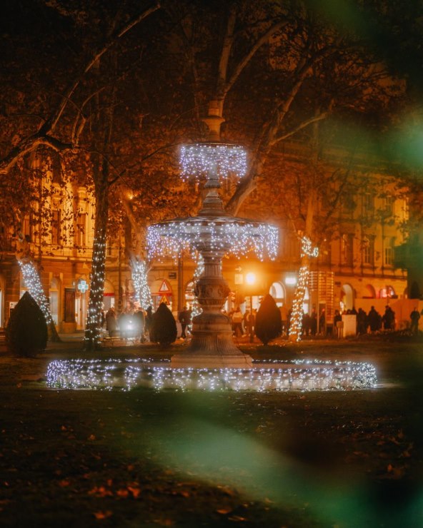 Advent 5.jpg