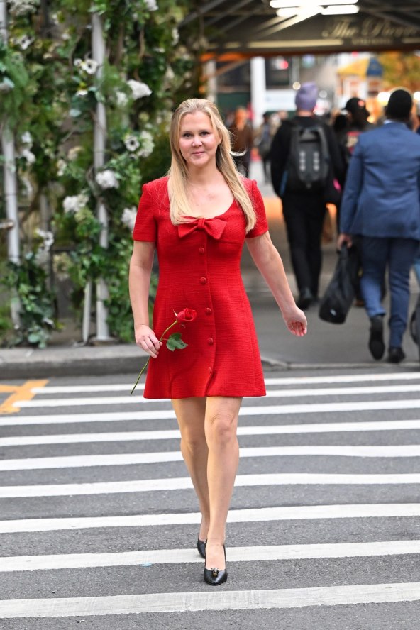 amy schumer