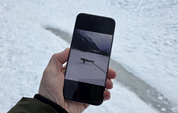 Honor Magic8 Pro Kranjska Gora (3).jpg