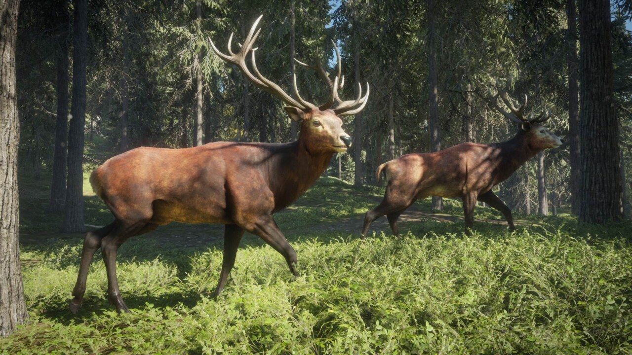 theHunter Call of the Wild (6).jpg