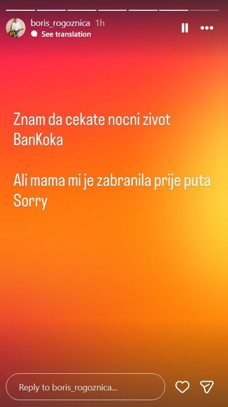 Boris Rogoznica