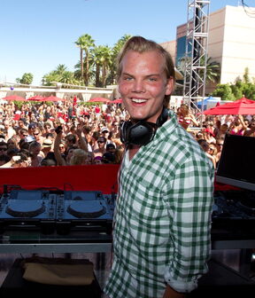Avicii si je oduzeo život