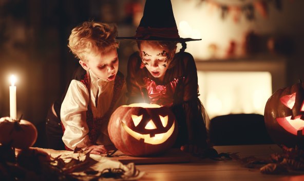 iStock-1178309940.jpg