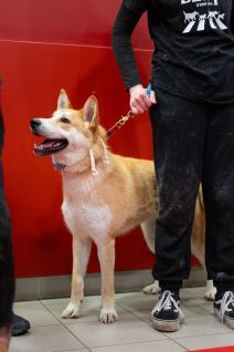 PetCentarNoinaArka-181.jpg