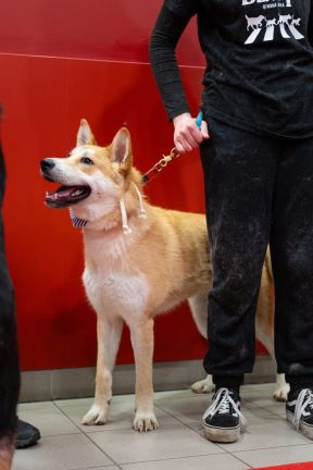 PetCentarNoinaArka-181.jpg