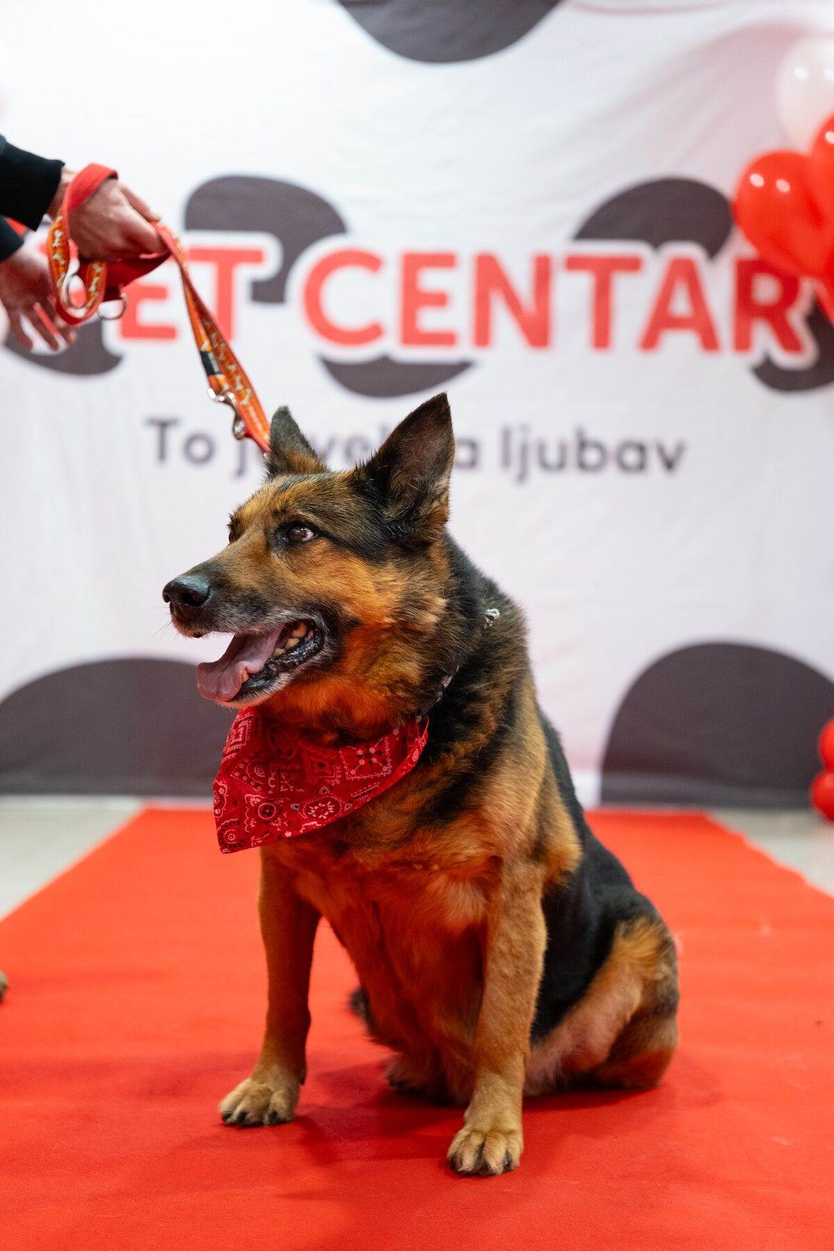 PetCentarNoinaArka-59.jpg