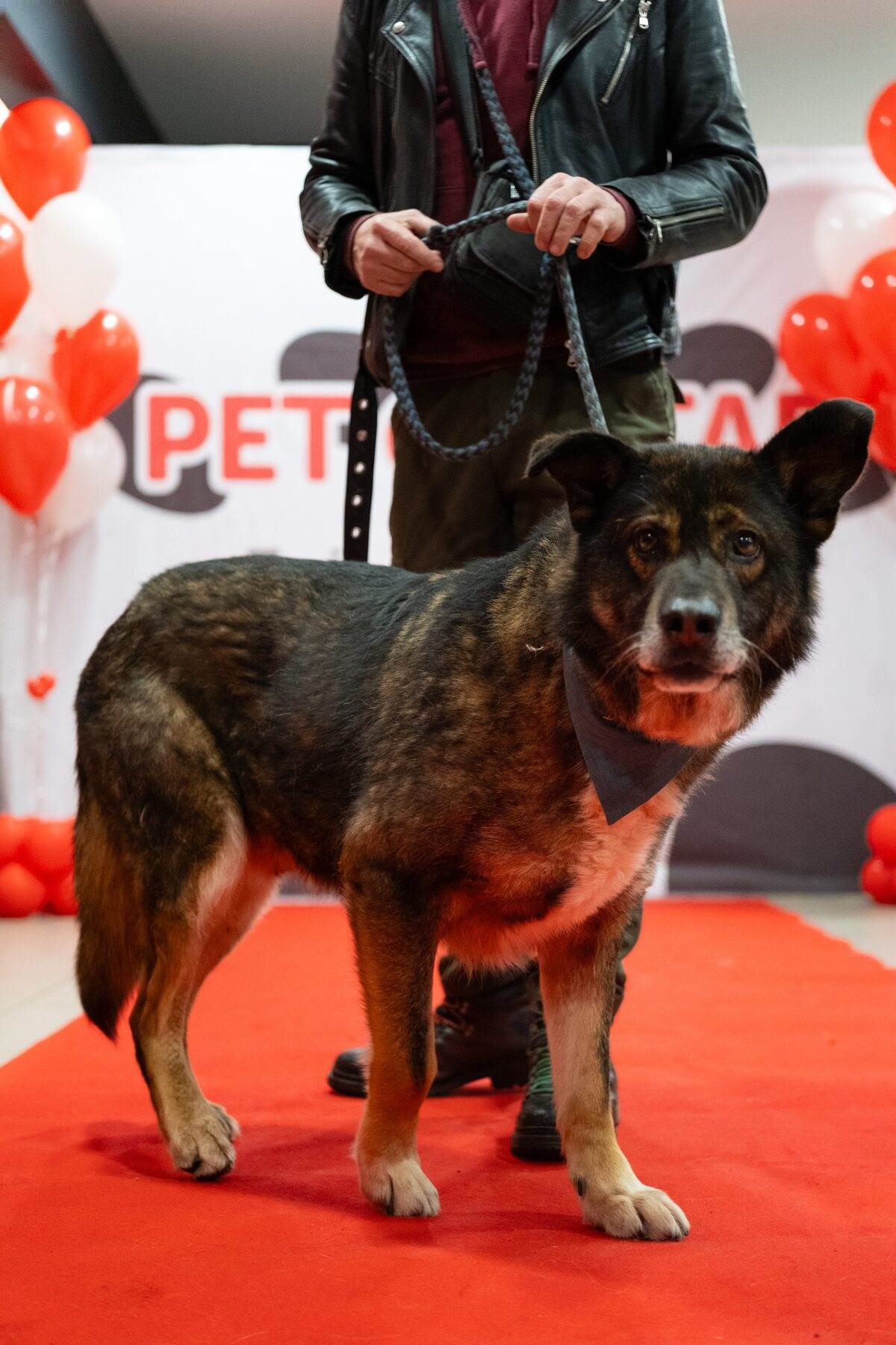 PetCentarNoinaArka-88.jpg