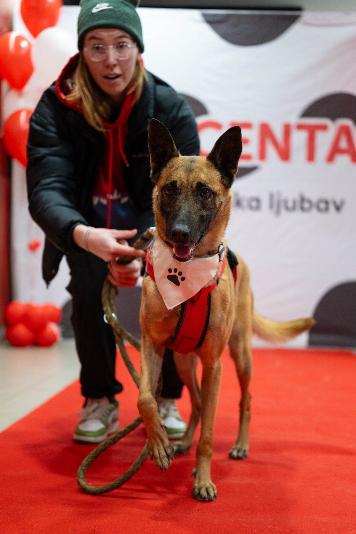PetCentarNoinaArka-101.jpg