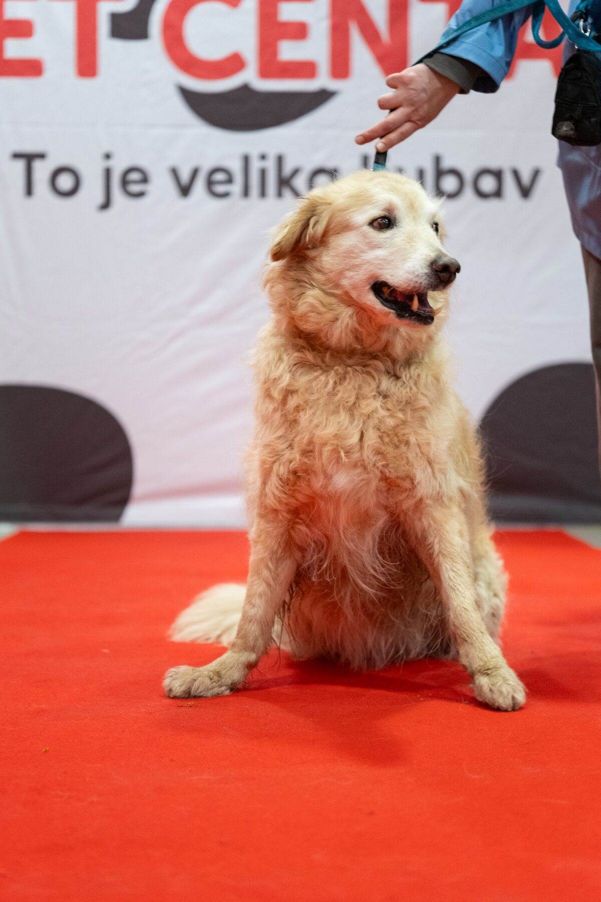 PetCentarNoinaArka-113.jpg