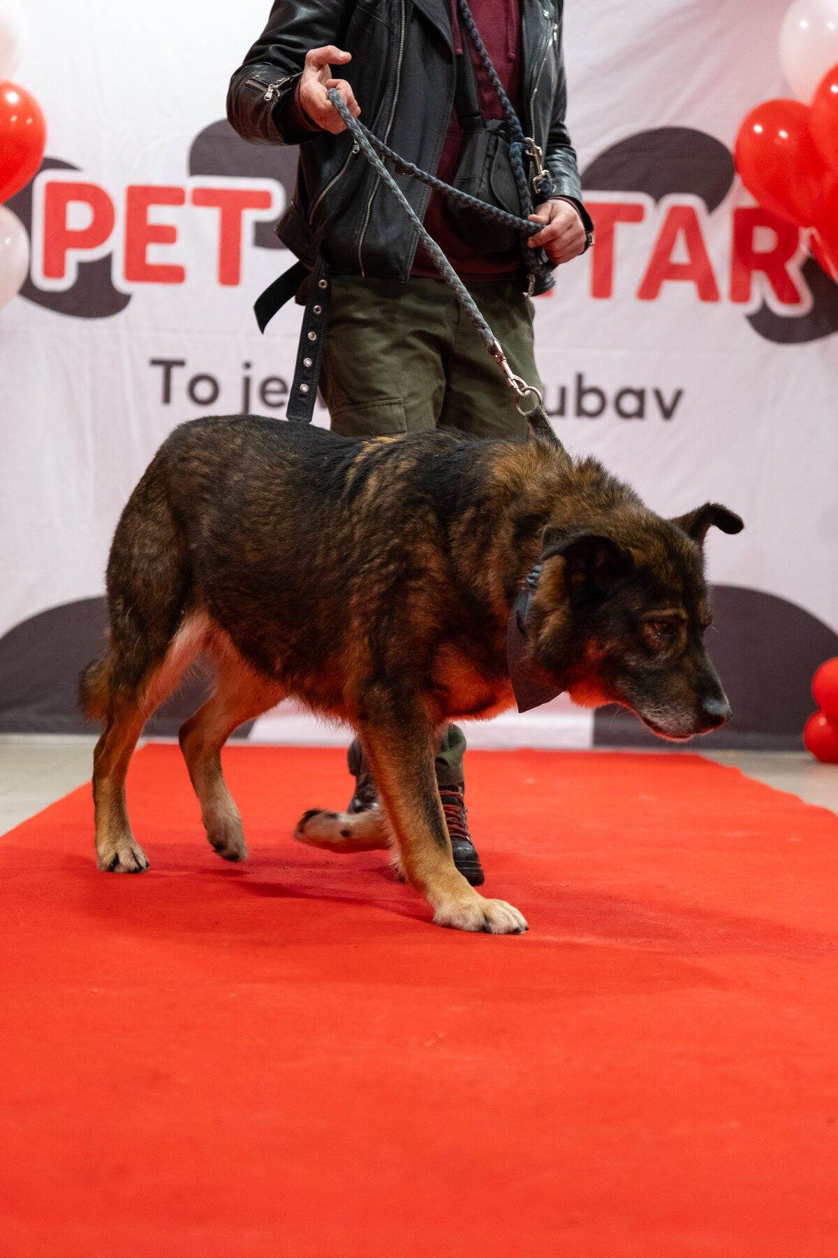 PetCentarNoinaArka-123.jpg