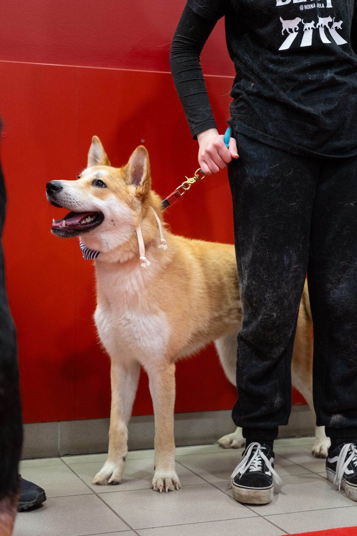 PetCentarNoinaArka-181.jpg