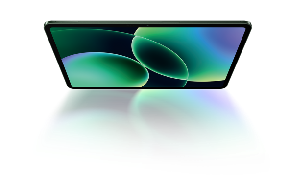 2.P81&P82_Green_HD (1).png