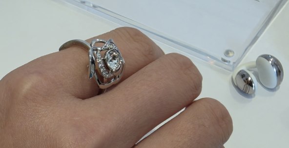 TCL CrystalClip Swarovski (4).jpg