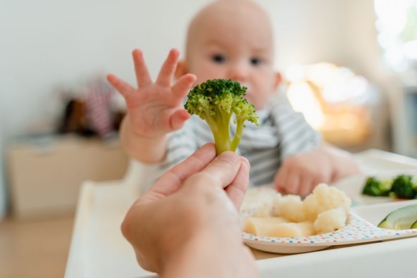 Razvoj bebe u prvoj godini - prekretnice po mjesecima